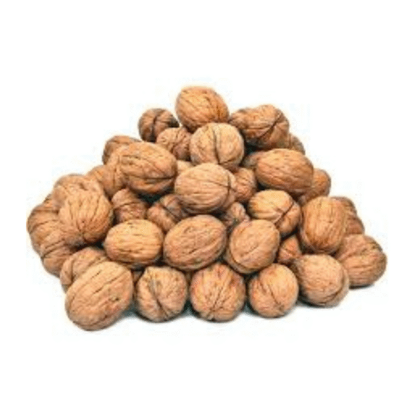 Walnut – The Brain-Boosting Himalayan Superfood